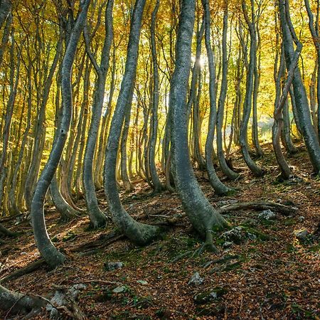 Locanda Della Rocca Sarnano Dış mekan fotoğraf