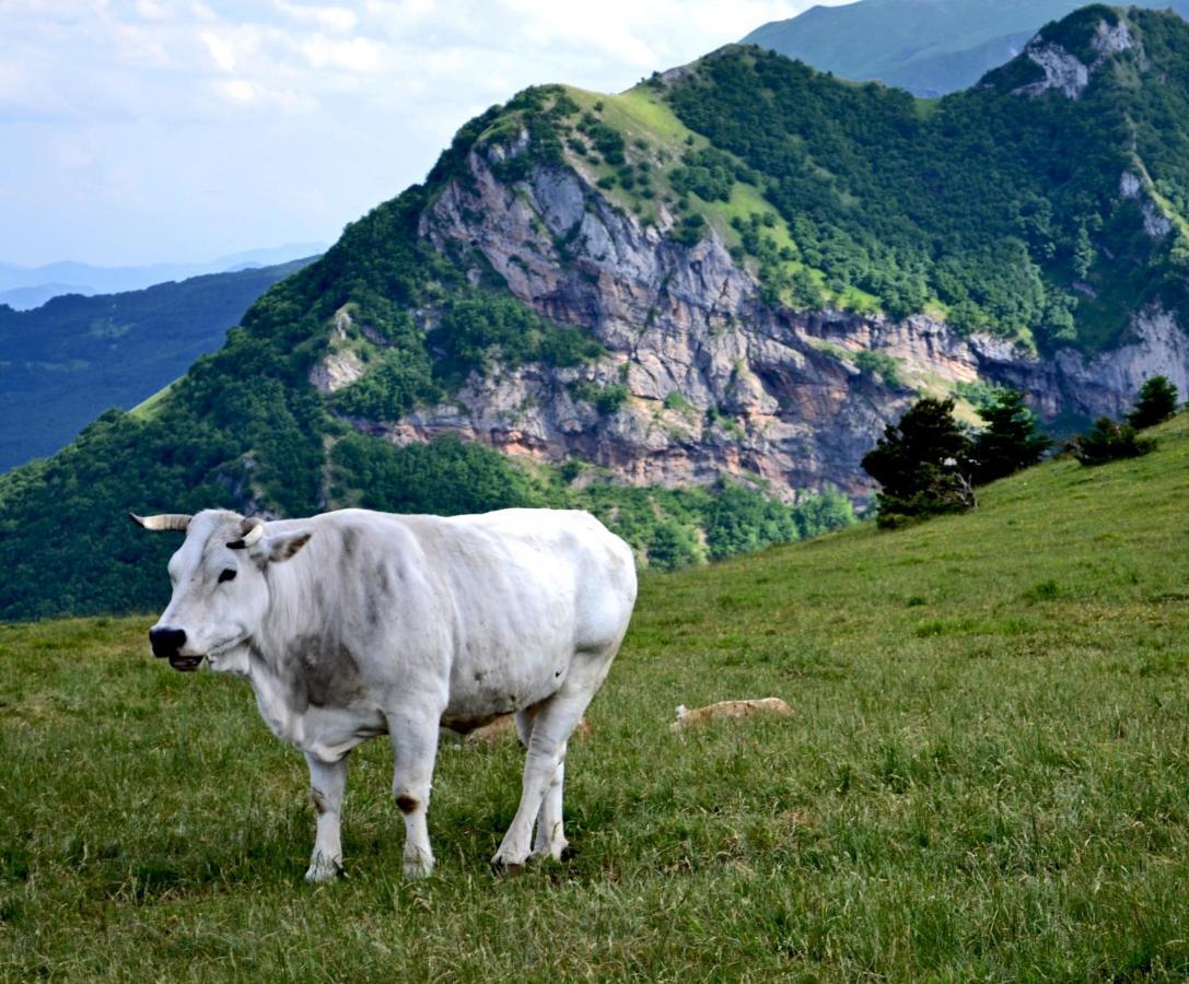 Locanda Della Rocca Sarnano Dış mekan fotoğraf