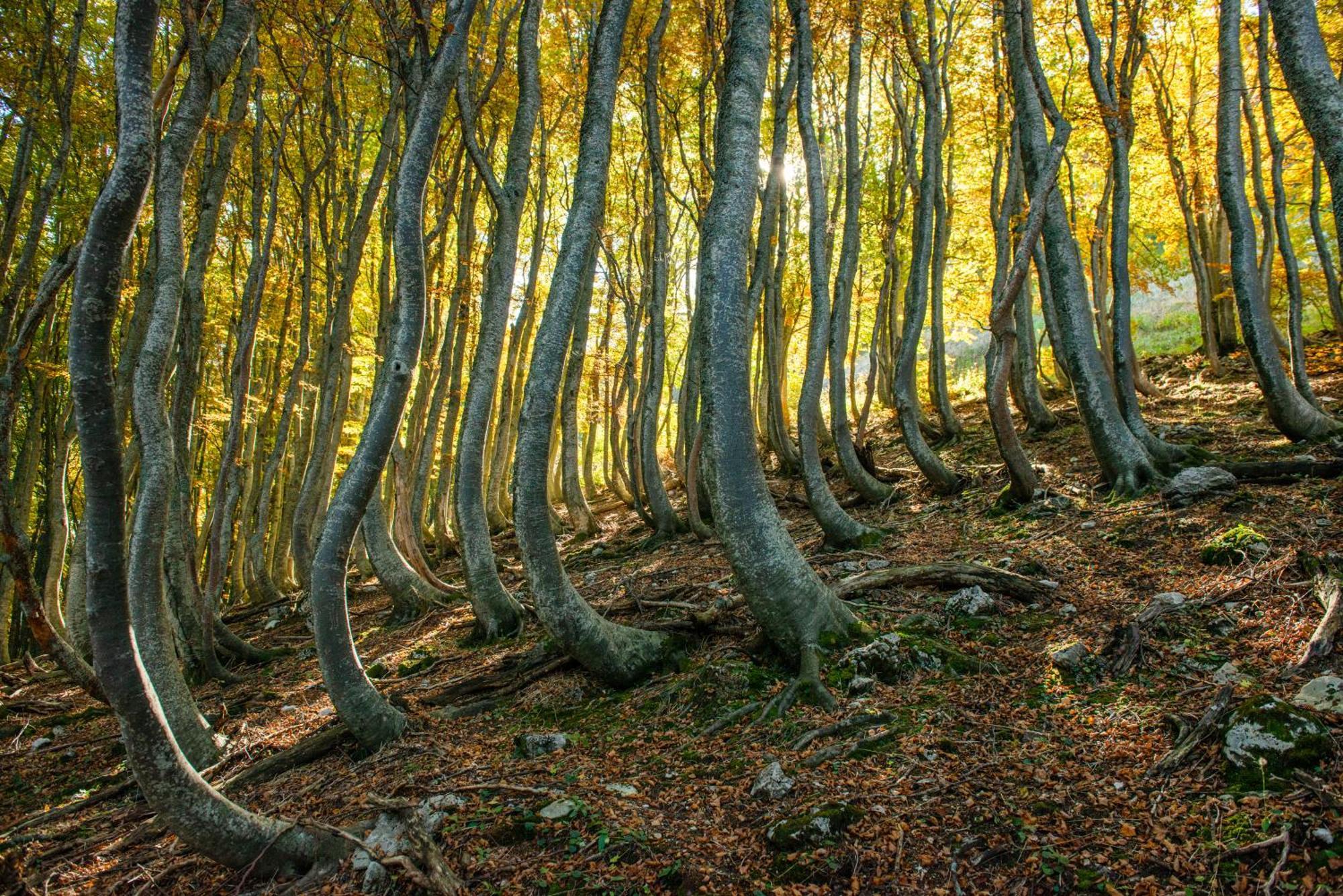 Locanda Della Rocca Sarnano Dış mekan fotoğraf