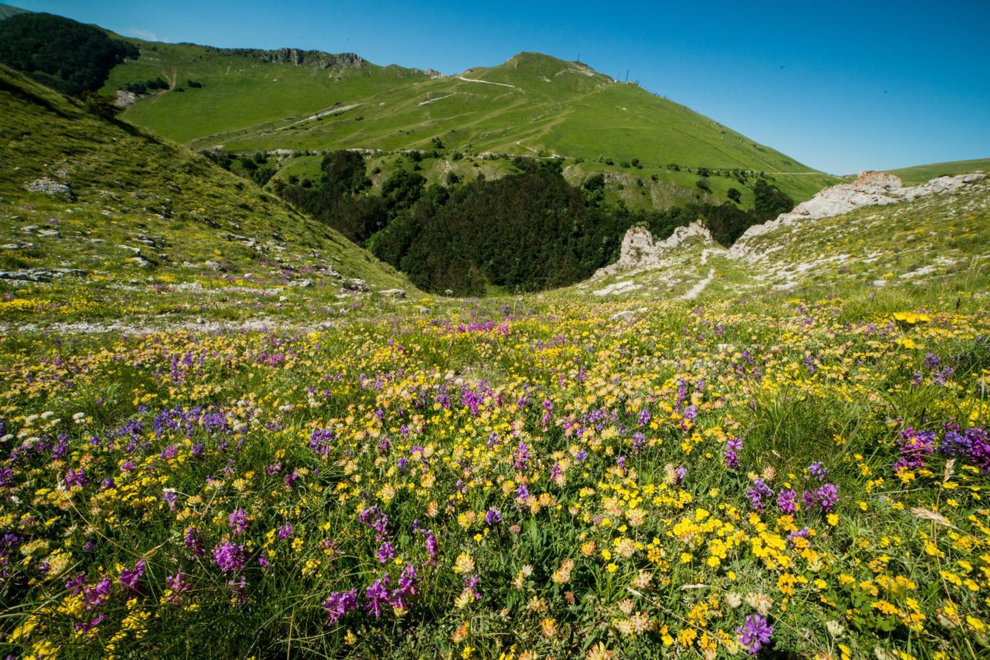 Locanda Della Rocca Sarnano Dış mekan fotoğraf